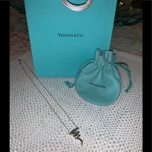 Tiffany & Co. Picasso Scribble Necklace